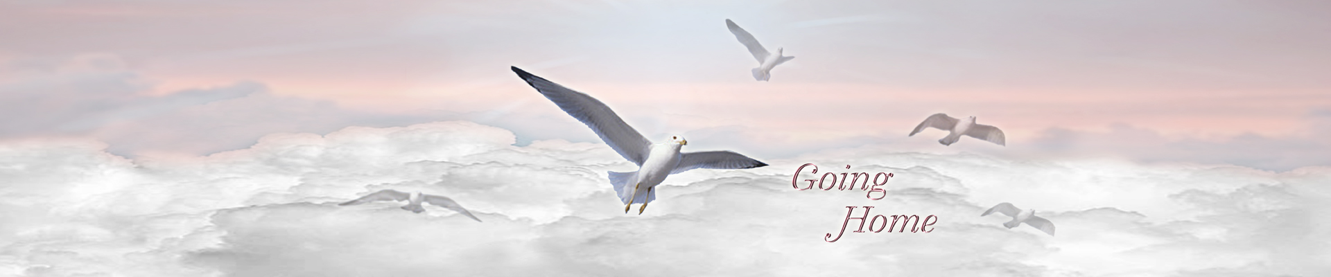 P FC 102 PK Going Home Pink Clouds FULL COUCH PRINT